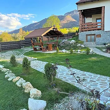 Hill Braşov